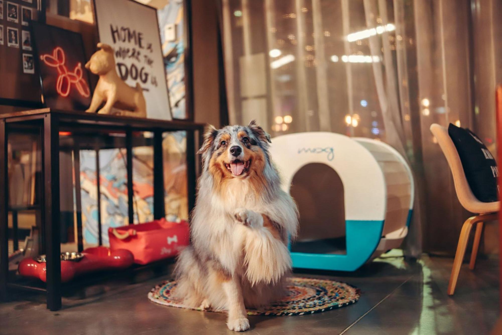 Moxy Bordeaux Hotel Ngoại thất bức ảnh
